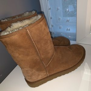 Classic Tan Short Uggs